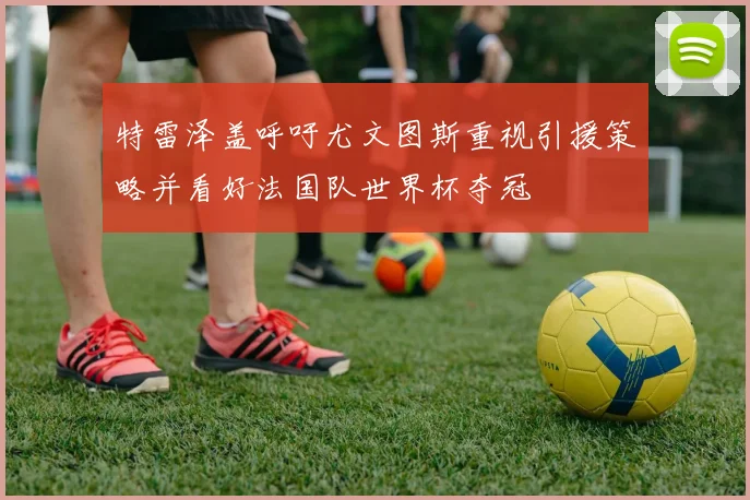 特雷泽盖呼吁尤文图斯重视引援策略并看好法国队世界杯夺冠