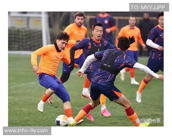 泰山队外援已齐聚备战冬训媒体人称处罚影响有限